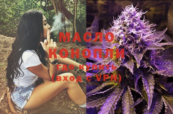 индика Бородино