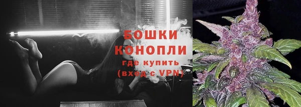 индика Бородино