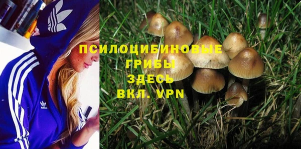 гашиш Богданович