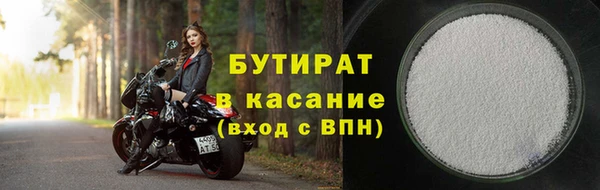 индика Бородино