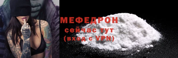 индика Бородино
