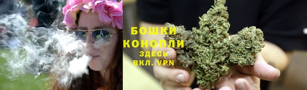 индика Бородино