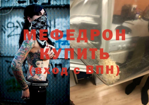 индика Бородино