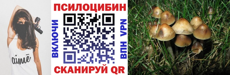 Галлюциногенные грибы GOLDEN TEACHER  Купить где  Усть-Катав 